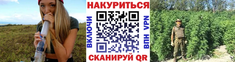 где купить   blacksprut ТОР  Конопля индика  Елабуга 